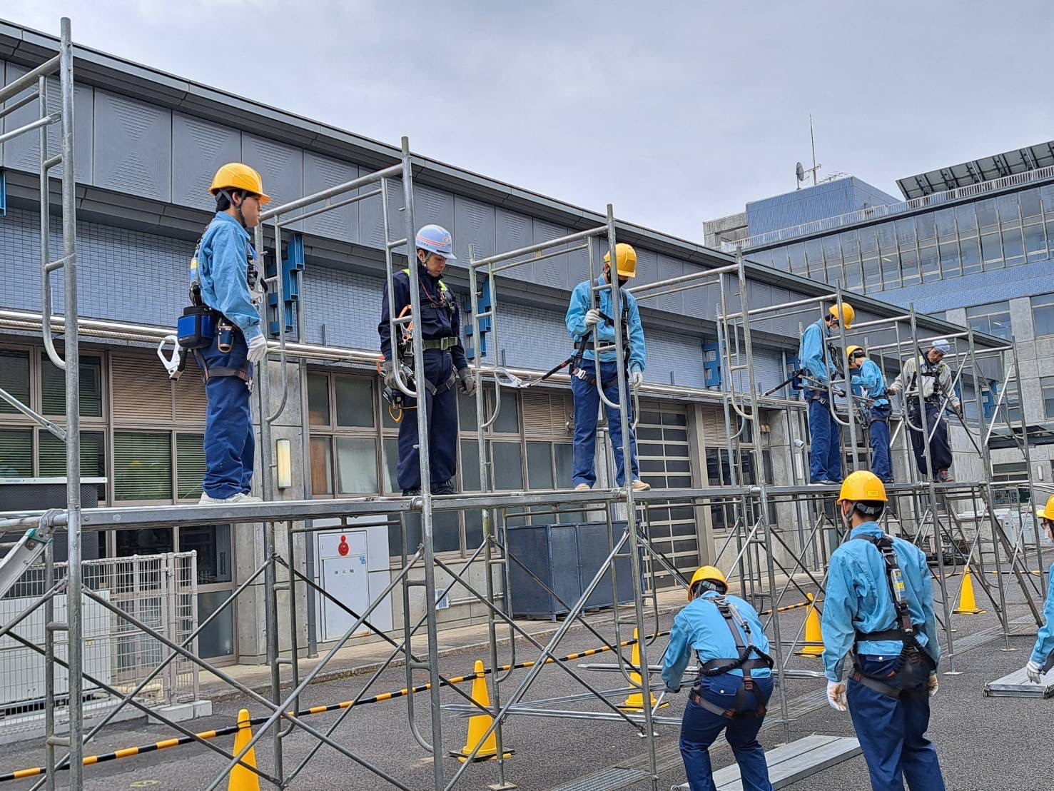 Image - 2026-03-20T094722.459